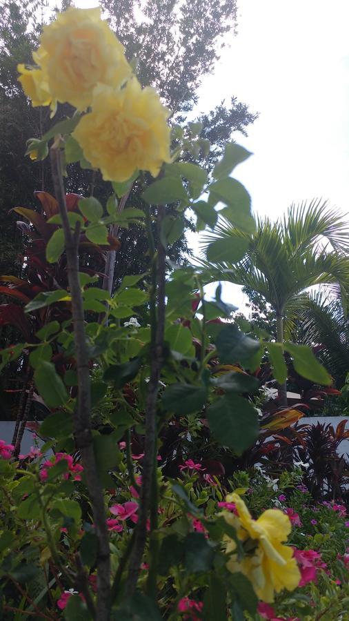 Sun Suites Cozumel Bagian luar foto
